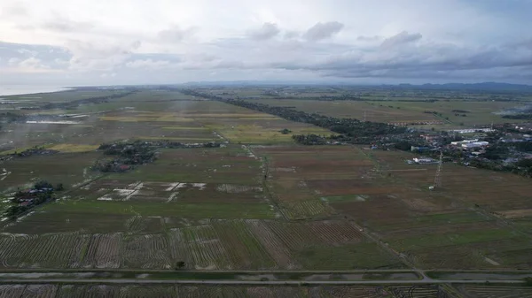 Kedah, Malezya 'nın Paddy Pirinç Tarlaları