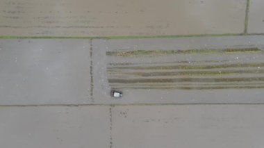 Kedah, Malezya 'nın Paddy Pirinç Tarlaları