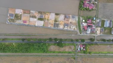 Kedah, Malezya 'nın Paddy Pirinç Tarlaları