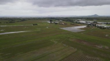 Kedah, Malezya 'nın Paddy Pirinç Tarlaları