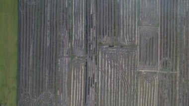 Kedah, Malezya 'nın Paddy Pirinç Tarlaları