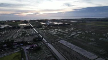 Kedah, Malezya 'nın Paddy Pirinç Tarlaları
