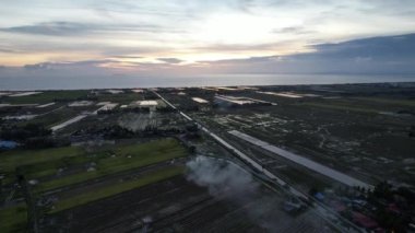Kedah, Malezya 'nın Paddy Pirinç Tarlaları