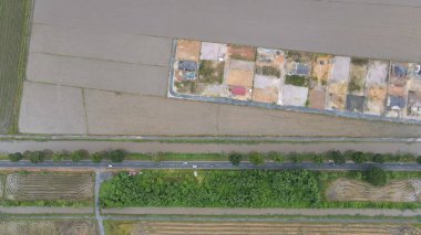 Kedah, Malezya 'nın Paddy Pirinç Tarlaları