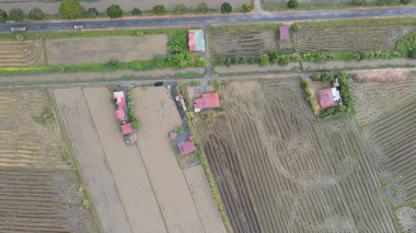 Kedah, Malezya 'nın Paddy Pirinç Tarlaları