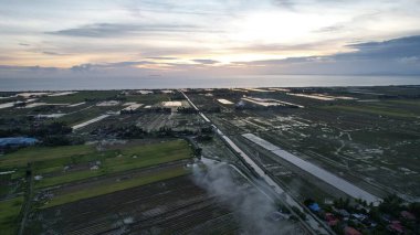 Kedah, Malezya 'nın Paddy Pirinç Tarlaları