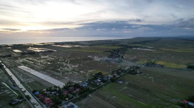 Kedah, Malezya 'nın Paddy Pirinç Tarlaları