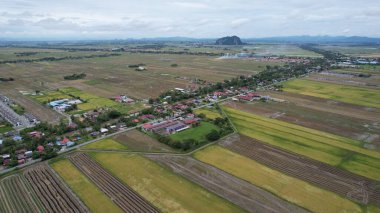 Kedah, Malezya 'nın Paddy Pirinç Tarlaları