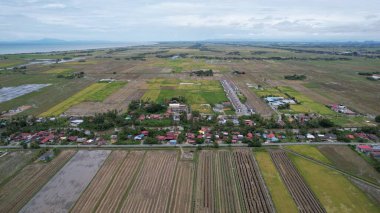 Kedah, Malezya 'nın Paddy Pirinç Tarlaları