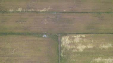 Kedah, Malezya 'nın Paddy Pirinç Tarlaları