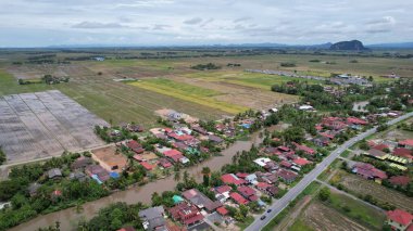 Kedah, Malezya 'nın Paddy Pirinç Tarlaları