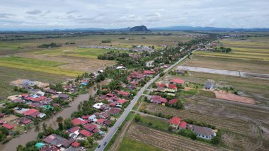 Kedah, Malezya 'nın Paddy Pirinç Tarlaları