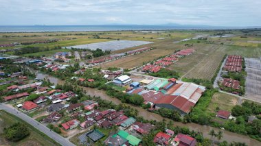 Kedah, Malezya 'nın Paddy Pirinç Tarlaları