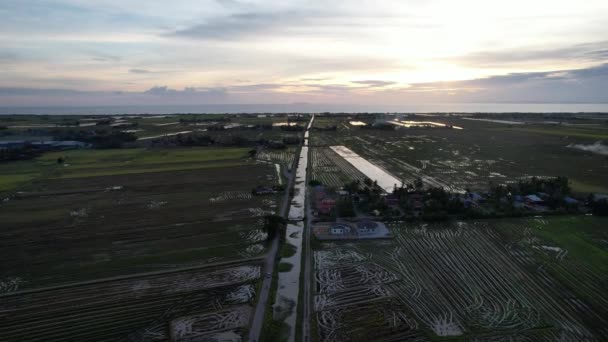 Rijstvelden Van Kedah Maleisië — Stockvideo