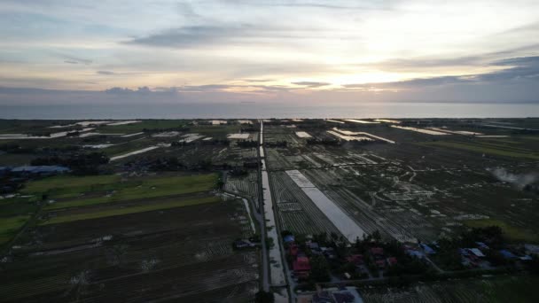 Les Rizières Kedah Malaisie — Video