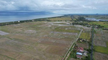 Kedah, Malezya 'nın Paddy Pirinç Tarlaları