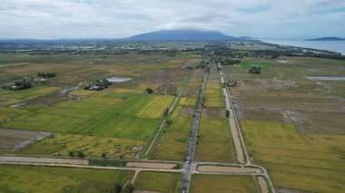 Kedah, Malezya 'nın Paddy Pirinç Tarlaları