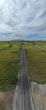 Kedah, Malezya 'nın Paddy Pirinç Tarlaları