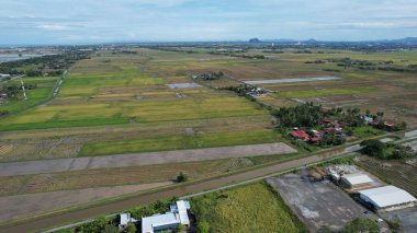 Kedah, Malezya 'nın Paddy Pirinç Tarlaları