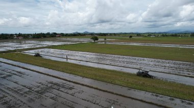 Malezya, Kedah 'daki Paddy Rice Tarlalarını tarayan traktörler