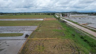 Malezya, Kedah 'daki Paddy Rice Tarlalarını tarayan traktörler