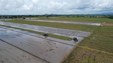 Malezya, Kedah 'daki Paddy Rice Tarlalarını tarayan traktörler
