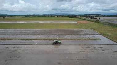 Malezya, Kedah 'daki Paddy Rice Tarlalarını tarayan traktörler