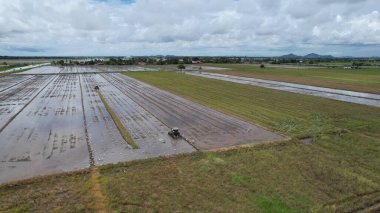 Malezya, Kedah 'daki Paddy Rice Tarlalarını tarayan traktörler
