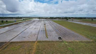 Malezya, Kedah 'daki Paddy Rice Tarlalarını tarayan traktörler