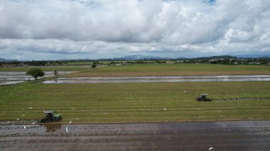 Malezya, Kedah 'daki Paddy Rice Tarlalarını tarayan traktörler