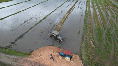 Malezya, Kedah 'daki Paddy Rice Tarlalarını tarayan traktörler