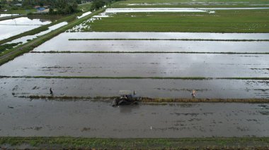 Malezya, Kedah 'daki Paddy Rice Tarlalarını tarayan traktörler