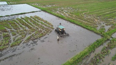 Malezya, Kedah 'daki Paddy Rice Tarlalarını tarayan traktörler