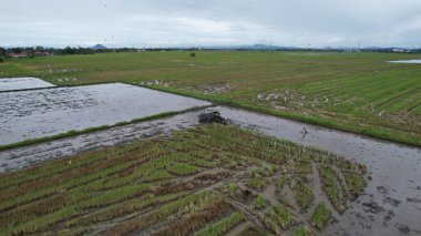 Malezya, Kedah 'daki Paddy Rice Tarlalarını tarayan traktörler