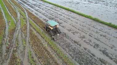 Malezya, Kedah 'daki Paddy Rice Tarlalarını tarayan traktörler