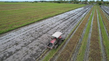 Malezya, Kedah 'daki Paddy Rice Tarlalarını tarayan traktörler