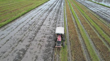 Malezya, Kedah 'daki Paddy Rice Tarlalarını tarayan traktörler