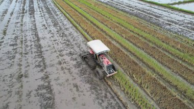Malezya, Kedah 'daki Paddy Rice Tarlalarını tarayan traktörler