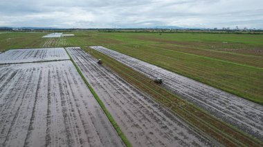 Malezya, Kedah 'daki Paddy Rice Tarlalarını tarayan traktörler