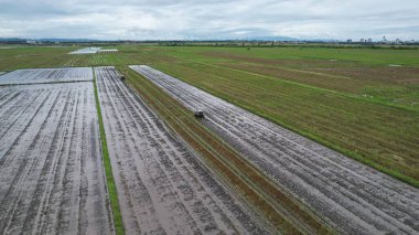 Malezya, Kedah 'daki Paddy Rice Tarlalarını tarayan traktörler