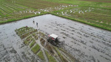 Alor Setar, Malezya 24 Eylül 2022: Başkent Kedah