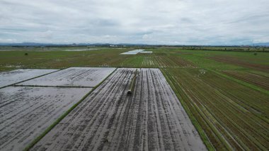 Alor Setar, Malezya 24 Eylül 2022: Başkent Kedah