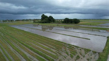 Alor Setar, Malezya 24 Eylül 2022: Başkent Kedah