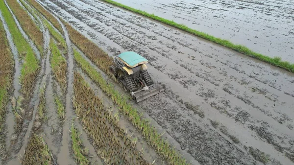 Malezya, Kedah 'daki Paddy Rice Tarlalarını tarayan traktörler