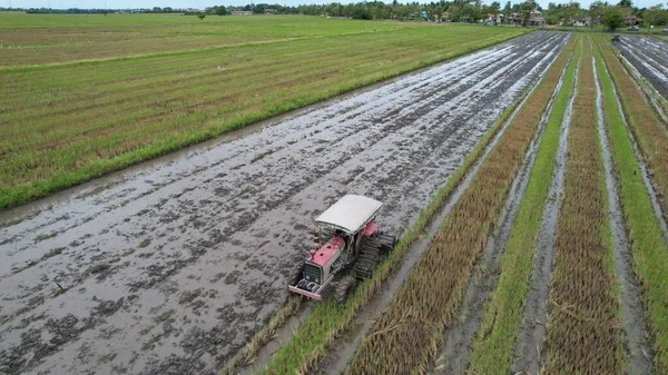 Malezya, Kedah 'daki Paddy Rice Tarlalarını tarayan traktörler