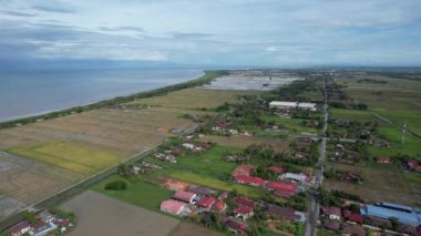Malezya, Kedah 'daki Paddy Rice Tarlalarını tarayan traktörler