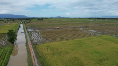 Malezya, Kedah 'daki Paddy Rice Tarlalarını tarayan traktörler