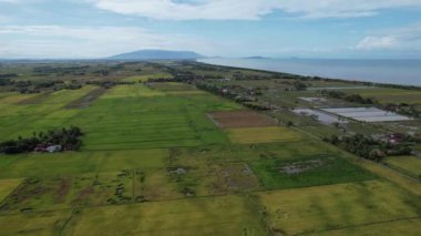 Malezya, Kedah 'daki Paddy Rice Tarlalarını tarayan traktörler
