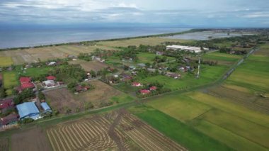 Malezya, Kedah 'daki Paddy Rice Tarlalarını tarayan traktörler