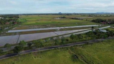 Malezya, Kedah 'daki Paddy Rice Tarlalarını tarayan traktörler